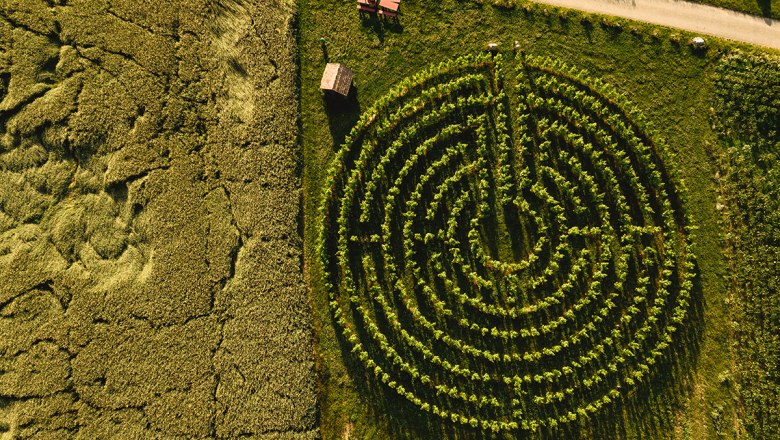 Pleasure stop at the vineyard labyrinth, © Michael Reidinger Pleasure stop at the vineyard labyrinth, © Michael Reidinger
