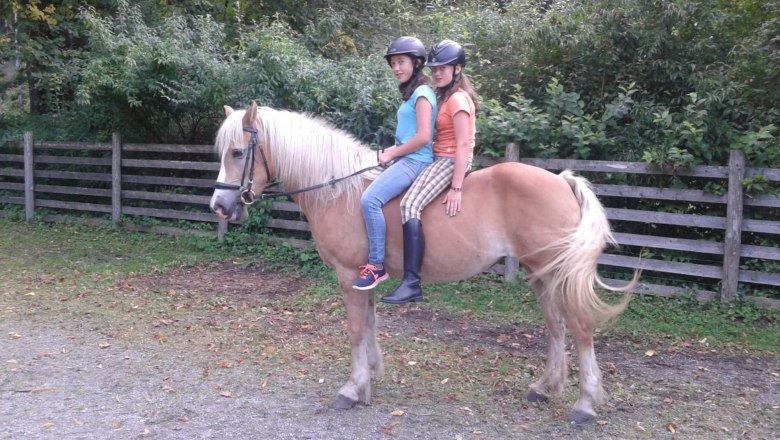 Riding, © Familie Gasteiner Riding, © Familie Gasteiner