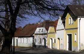 Wine cellar lane Nappersdorf, © Weinviertel Tourismus / Mandl A row of traditional wine cellars in the Nappersdorf wine cellar lane, surrounded by bare trees and blue skies.