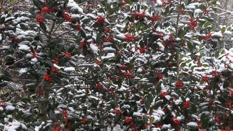 Private room Margit, © Margit Heller Private room Margit, © Margit Heller