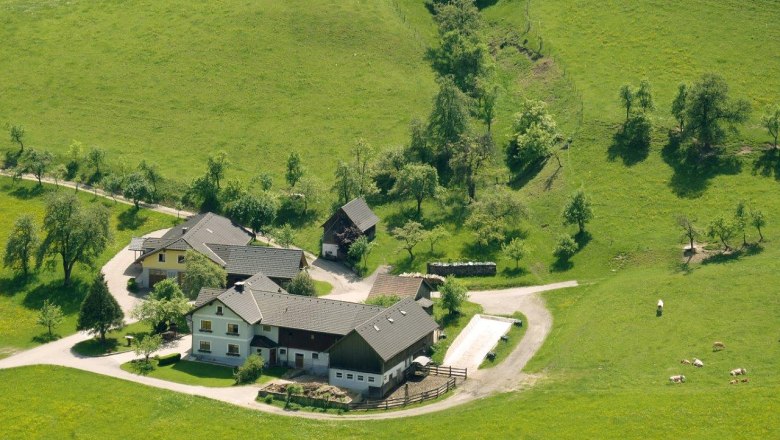 Organic farm Steg, © Aigner Organic farm Steg, © Aigner