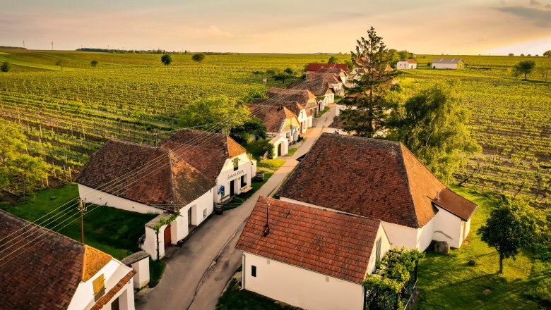 Wine cellar lane Zellerndorf, © Weinviertel Tourismus GmbH / Robert Herbst Aerial view of the wine cellar lane in Zellerndorf with vineyards and traditional buildings.