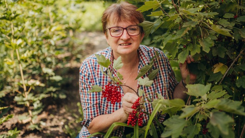 Landlady Herta Falkensteiner, © Niederösterreich Werbung/Daniela Führer Woman in plaid shirt picking red berries in the garden.