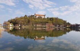 Sitzenberg castle pond, © Teichwirtschaft Sitzenberg-Reidling A castle on a hill is reflected in a calm lake, surrounded by trees and small houses.