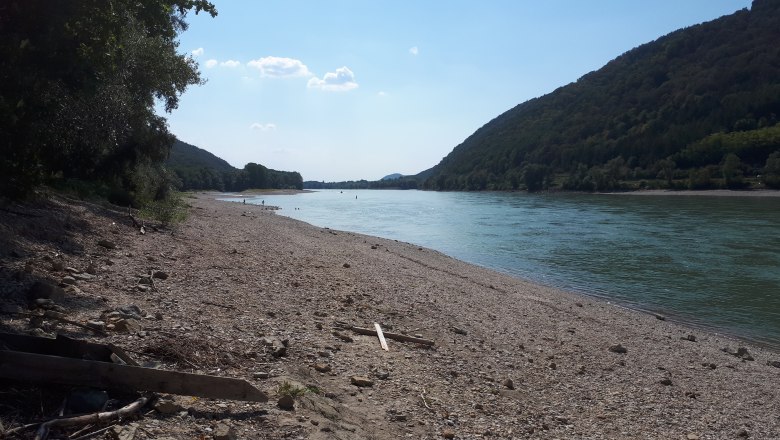 Danube beach 5 min, © DB Pebble beach on the Danube with wooded hills in the background.