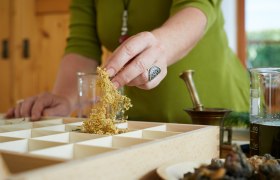 Herbal power plant, © Florian Lierzer Herbal power plant, © Florian Lierzer