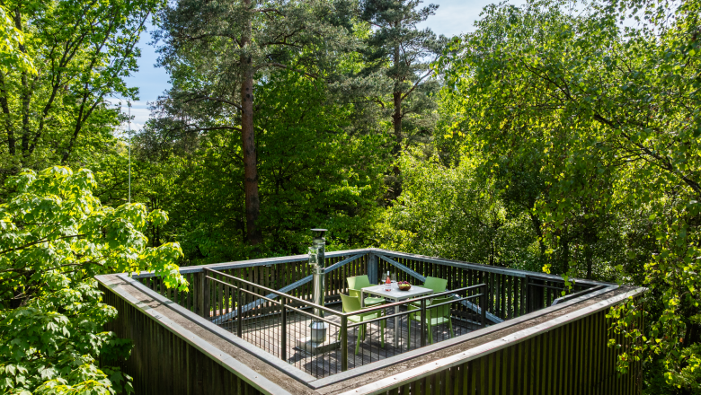 edelførst tree houses Roof terrace The tower house, © Robert Tober Tree house with terrace in a forest.
