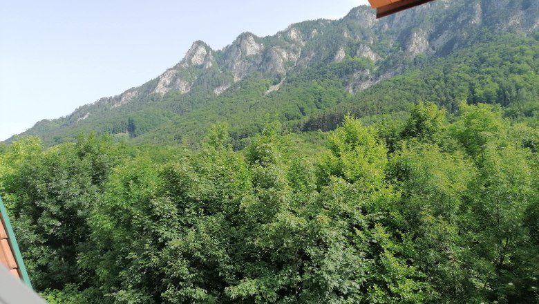View of the midday stone in the "garden room", © Wiener Alpen View from a window of a wooded mountain and dense forest in the foreground.