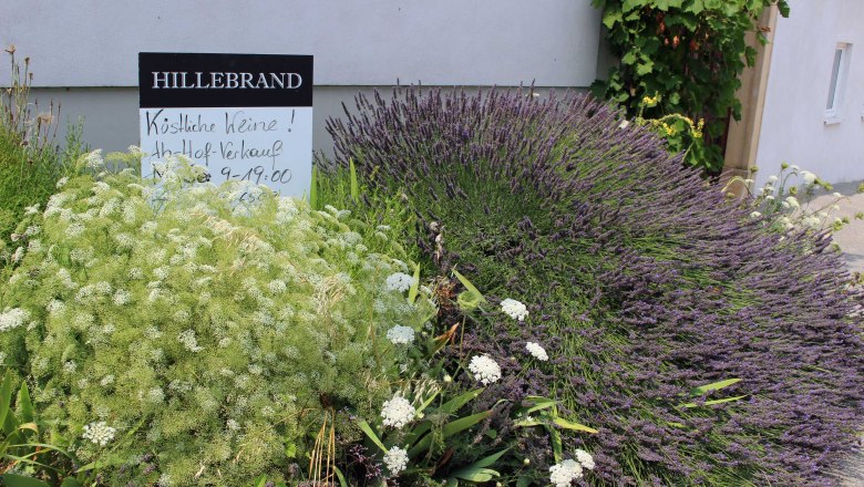 Hillebrand winery, Petronell-Carnuntum, © Donau Niederösterreich Hillebrand winery, Petronell-Carnuntum, © Donau Niederösterreich