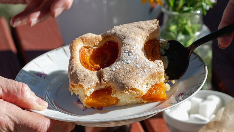 matthias-poechlinger apricot cake, © Weinbau Matthias Pöchlinger matthias-poechlinger apricot cake, © Weinbau Matthias Pöchlinger