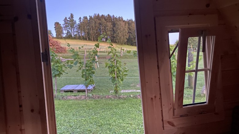 View to the outside, © Andreas Artner View to the outside, © Andreas Artner