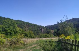 On the way to the secret court, © Donau NÖ Tourismus Landscape with meadows, trees and a wooden fence under a blue sky.