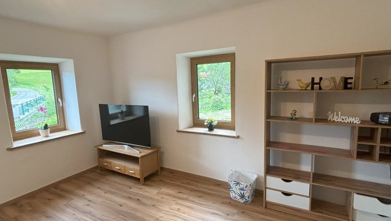 Living room, © Michael Hofer A living room with a wooden floor, a TV on a table, two windows and a shelf with decorations.