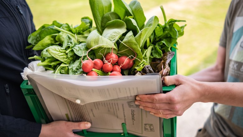 Vegetable box, © Michaela Faustmann Fotografie Two people are holding a green box with fresh vegetables such as radishes and lettuce.
