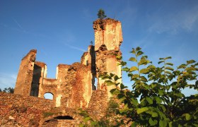 Kollmitz ruins, © Waldviertel Tourismus, Reinhard Mandl Kollmitz ruins with blue sky and plants in the foreground.