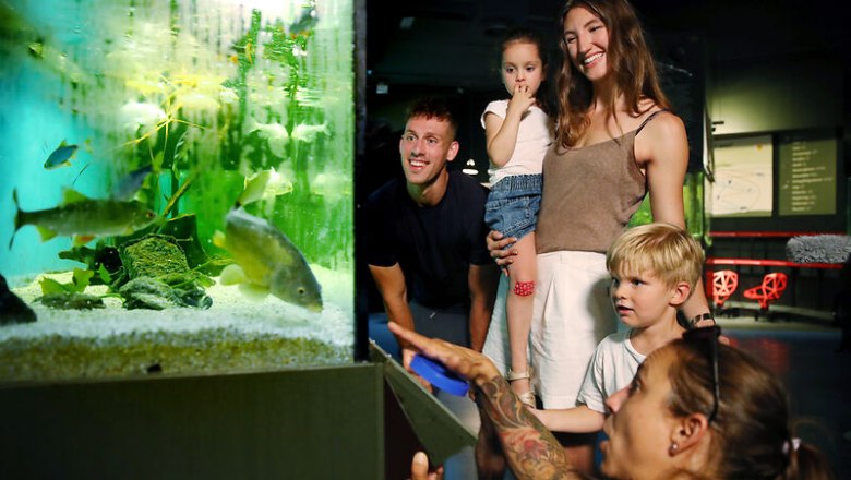 Aquariums, © © Waldviertel Tourismus, weinfranz A family looks at an aquarium with fish in a museum.
