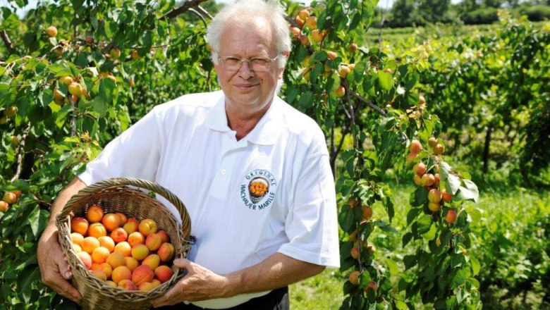 Mr. Koller, © Steve Haider Mr. Koller, © Steve Haider