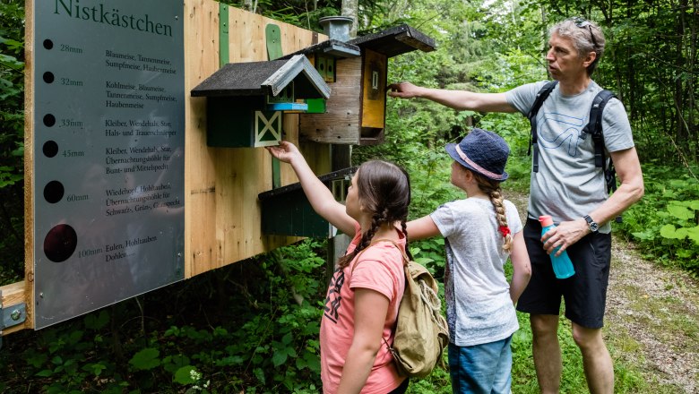 Annaberg nature trail, © Naturlehrpfad Annaberg Annaberg nature trail, © Naturlehrpfad Annaberg