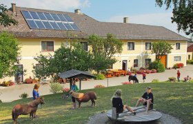 Trout farm, © Gertraud Erber Children playing on a farm with ponies in the foreground.