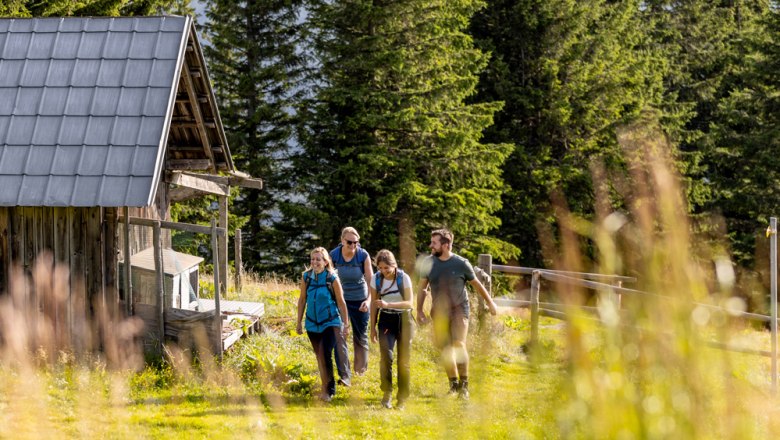 Out and about with a local hiking guide, © Wiener Alpen, Kremsl Four hikers are walking along a path next to a wooden hut in the forest.