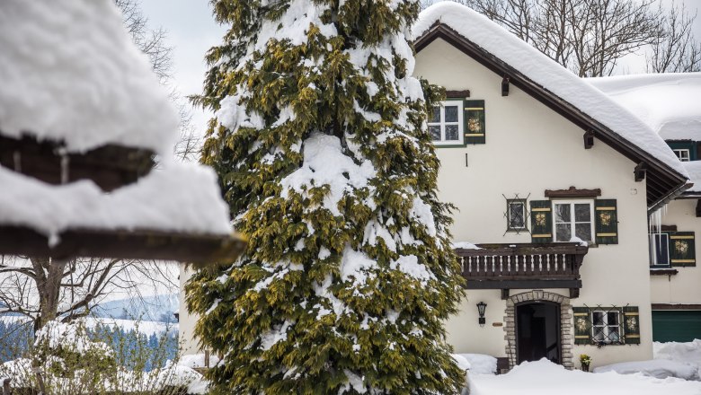 Kobichl in winter, © fred lindmoser Kobichl in winter, © fred lindmoser