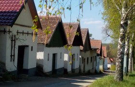 Wine cellar lane Kammersdorf, © Gritsch Row of traditional wine cellars in Kammersdorf, surrounded by trees and blue skies.