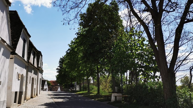 Wine cellar lane Zipf, © Weinstraße Weinviertel Wine cellar lane in Mailberg with trees and blue sky.