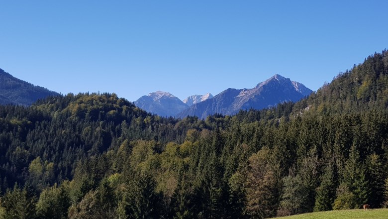 Summer, © Gasthof Stiegenwirt Summer, © Gasthof Stiegenwirt