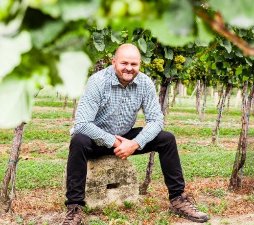 Winery Triesneckerhof, © Raimund Bauer Winery Triesneckerhof, © Raimund Bauer