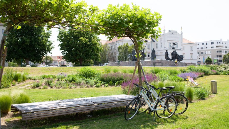 TDR hotel bikes, © Best Western Hotel Two bicycles are parked on the green banks of the Danube, with the town hall visible in the background