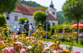 Rose garden with vicarage Pitten, © Wiener Alpen, Christian Kremsl Rose garden with historic vicarage in the background