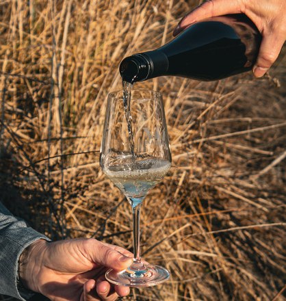 Winery Riedl_03, © Weingut Riedl Winery Riedl_03, © Weingut Riedl