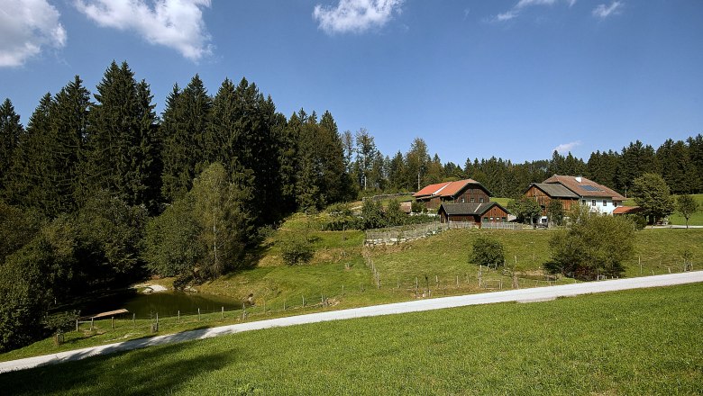 beekeeping-frasl-7-min, © Frasl beekeeping-frasl-7-min, © Frasl