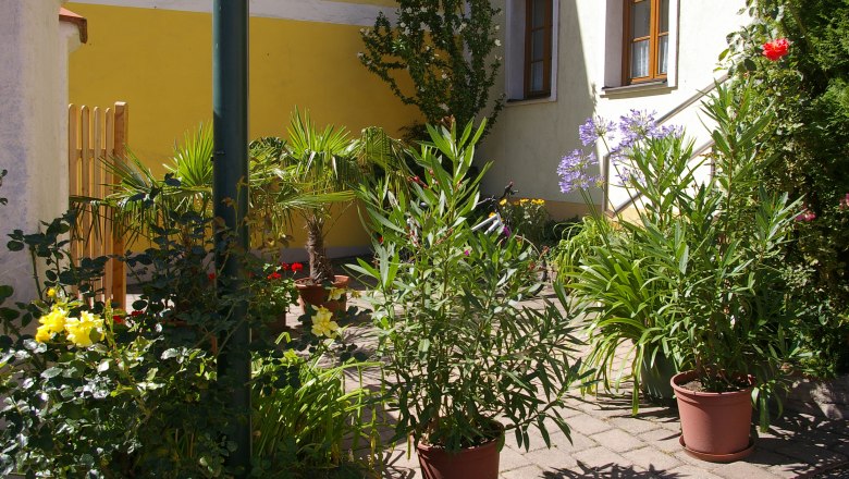 Inner courtyard, © Fam. Zangl A sunny courtyard with various plants in pots, including palm trees and flowering shrubs, in front of a yellow house wall.