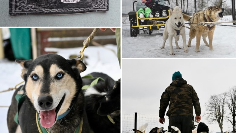 Feel the magic of the north - experience the Huskystadl up close, © Huskystadl Feel the magic of the north - experience the Huskystadl up close, © Huskystadl