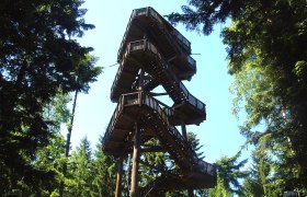 Aubergwarte, © Aubergwarte Wooden lookout tower in the forest with blue sky.