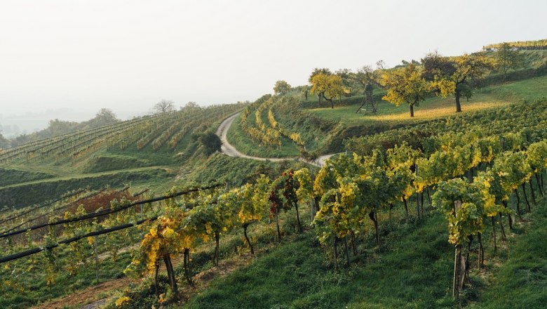 Wine culture Preiss, © Julius Hirtzberger Wine culture Preiss, © Julius Hirtzberger