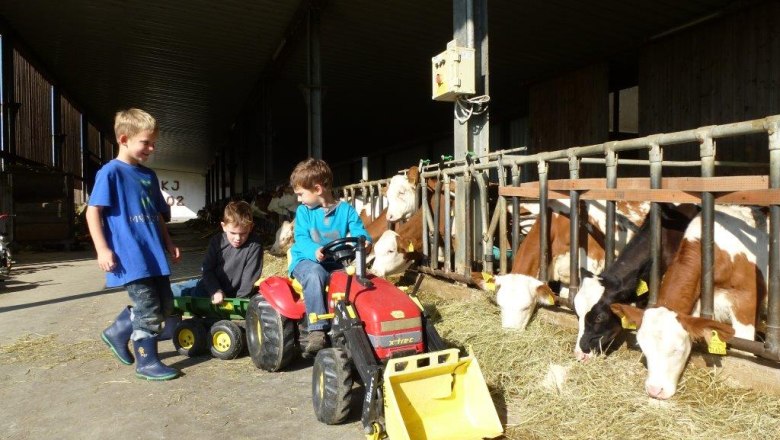 Kerndlerhof children in the stable, © Kerndlerhof Children play in the barn with toy tractors next to cows.
