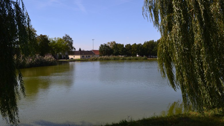 Pond, © Gemeinde Neudorf/ Staatz A tranquil pond with surrounding trees and buildings in the background.