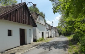 Wine cellar lane Gaubitsch, © Anna Rabl Row of traditional white houses along a quiet street, surrounded by trees and green foliage.