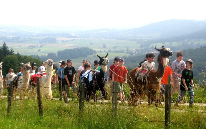 Llama - Ranch, © Familie Rappersberger Group of people and llamas on a hiking trail with landscape in the background.