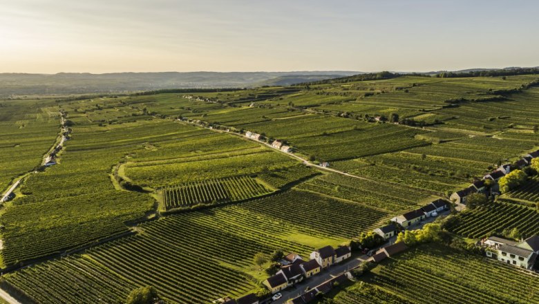 Wine cellar lane Feuersbrunn, © Robert Herbst Wine cellar lane Feuersbrunn, © Robert Herbst
