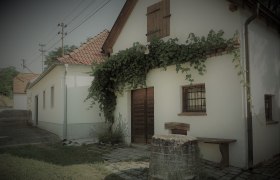 Seefeld wine cellar lane, © Herbert Krautwurm A traditional white building with a red tiled roof and ivy on the façade. In the foreground is an old well.