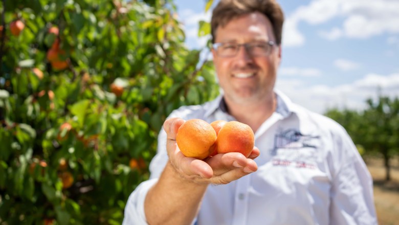 Apricot farm Hackl, © Netzwerk Kulinarik/pov.at Apricot farm Hackl, © Netzwerk Kulinarik/pov.at