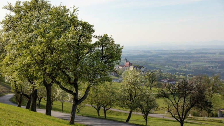 Photo point St. Michael am Bruckbach, © schwarz-koenig.at Photo point St. Michael am Bruckbach, © schwarz-koenig.at