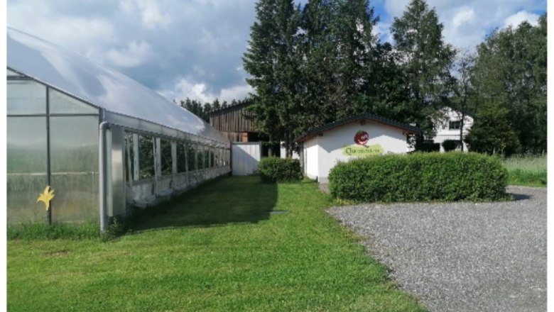 collage_querfeldein-2023-hofladen, © Marktgemeinde Martinsberg collage_querfeldein-2023-hofladen, © Marktgemeinde Martinsberg