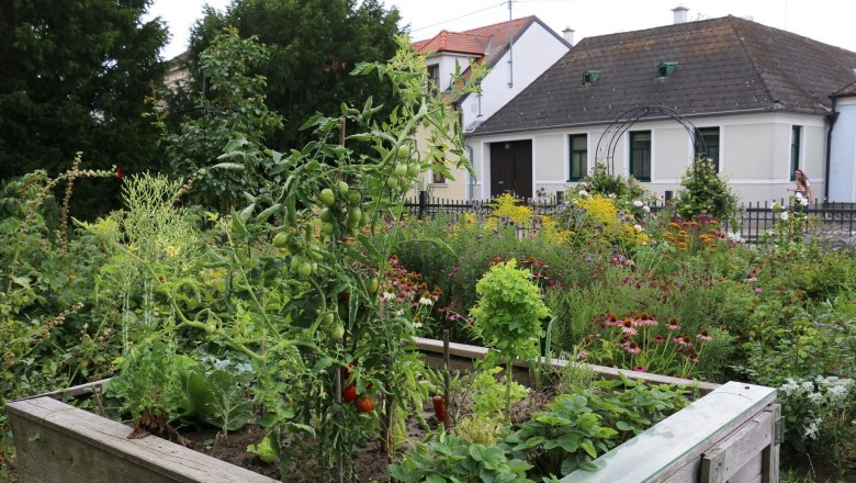 Anger gardens, © Wolfgang Gerzer A lush garden with raised beds full of vegetables and flowers in front of a house.