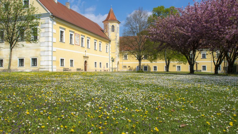 Atzenbrugg Castle, © Richard Marschik Atzenbrugg Castle with blossoming trees and meadow in the foreground.