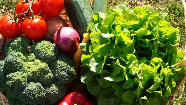 Landhof Laden Kittsee, fresh vegetables, © Landhof Laden Kittsee Landhof Laden Kittsee, fresh vegetables such as lettuce, peppers, tomatoes etc.