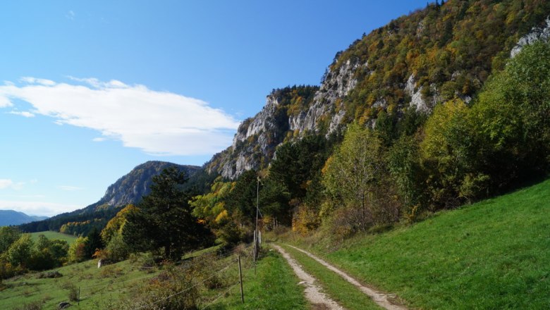 At the foot of the Hohe Wand, © Reep A hiking trail leads along a green meadow to a wooded hillside under a blue sky.